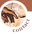 contact